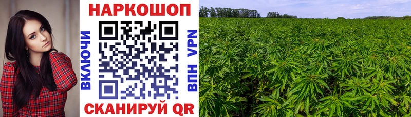 Продажа наркотиков Адыгейск Alpha-PVP Амфетамин МЕФ ГАШ Галлюциногенные грибы Марихуана