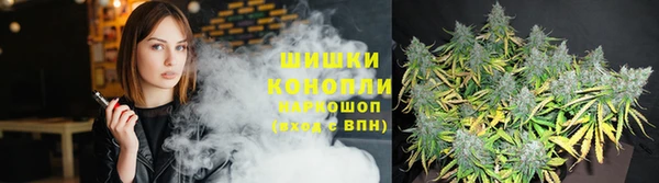 крисы Абинск