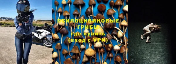 твердый Абаза